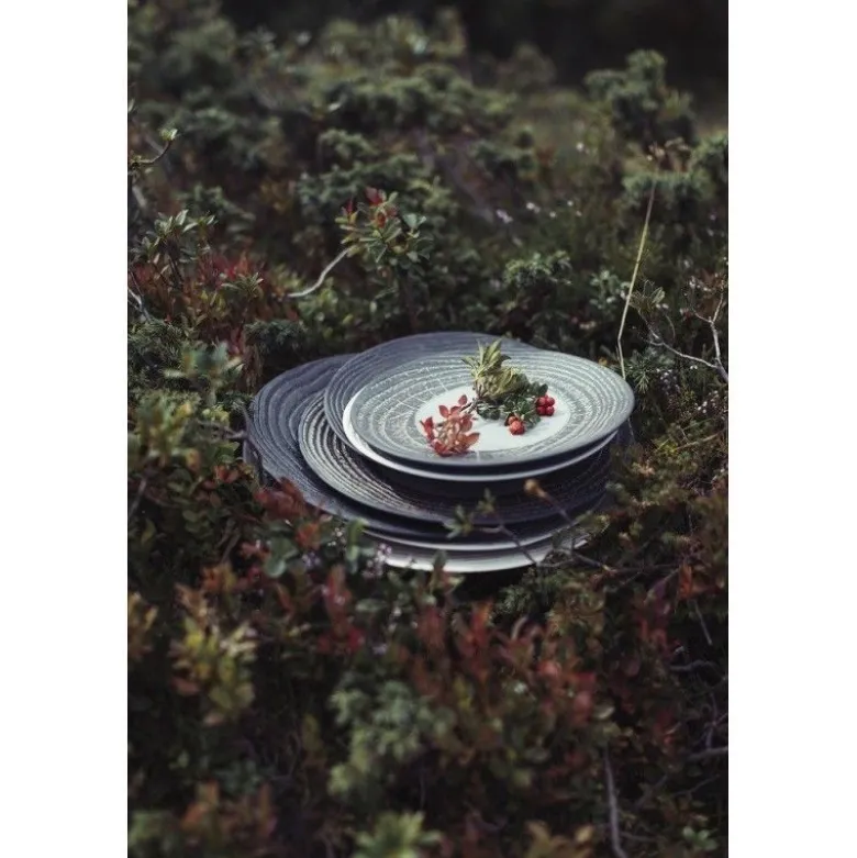Assiette dessert 21,5cm Poivre Arborescence - Revol