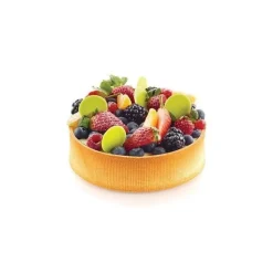 Bande Airplus 16-18cm x5 - Silikomart professional