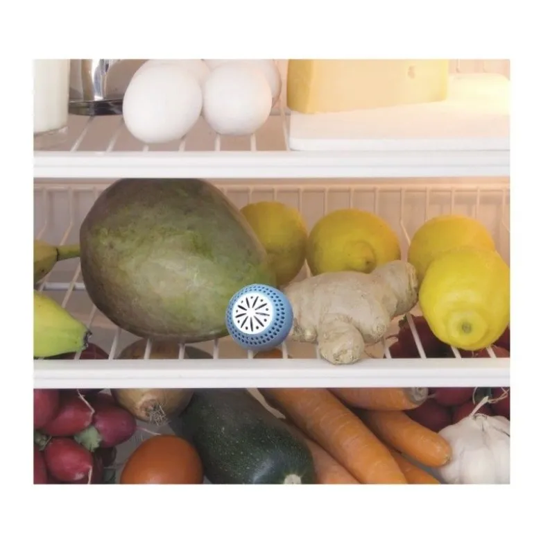 Boule frigo anti-odeur x2 - Totally Addict