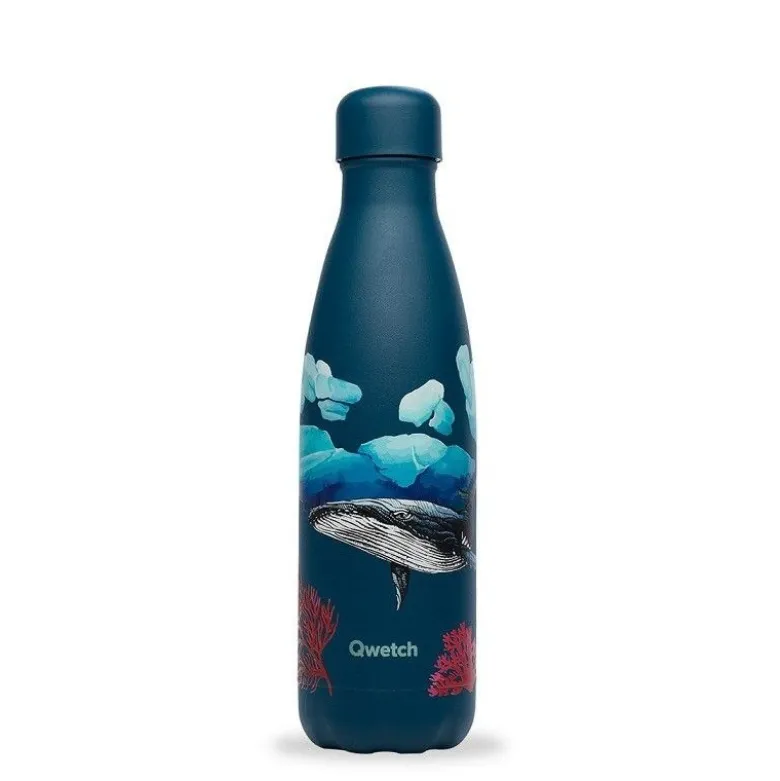 Bouteille isotherme Banquise Baleine 500ml - Qwetch