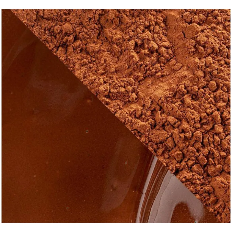 Cacao en Poudre Extra Brute 1kg - Callebaut
