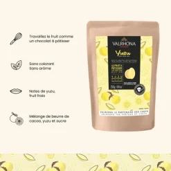 Chocolat de Couverture Inspiration Yuzu 250g – Valrhona