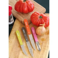 Coffret Couteaux de Cuisine et Éplucheur Fifties Les Essentiels - Opinel
