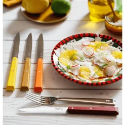 Coffret Couteaux de Table Agrumes Bon Appétit ! x4 - Opinel
