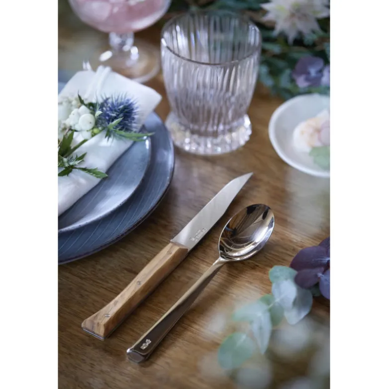 Coffret Couteaux de Table Olivier x4 Facette - Opinel