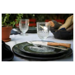 Coffret Couteaux de Table Olivier x4 Facette - Opinel