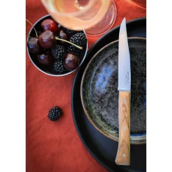 Coffret Couteaux de Table Olivier x4 Facette - Opinel