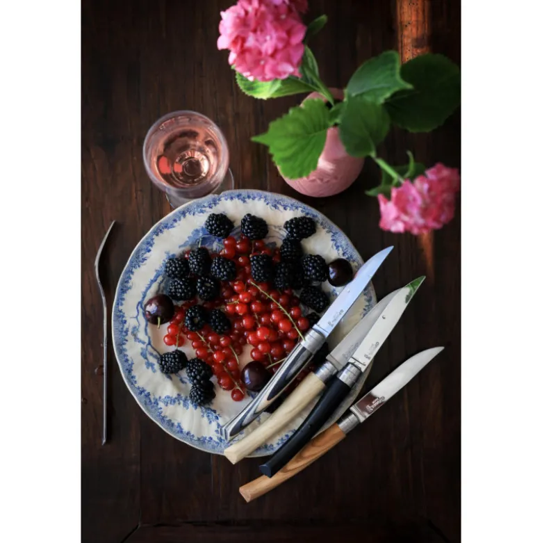 Coffret Couteaux de Table Panaché Table Chic x4 - Opinel