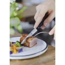 Coffret Couteaux de Table Pro N°125 Bon Appétit + x4 - Opinel