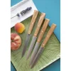 Coffret Couteaux de Table Sud Bon Appétit ! x4 - Opinel