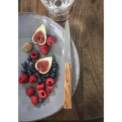 Coffret Couteaux de Table Sud Bon Appétit ! x4 - Opinel