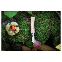 Couteau de Poche Châtaigne Ail et Dénoyautage N°7 - Opinel