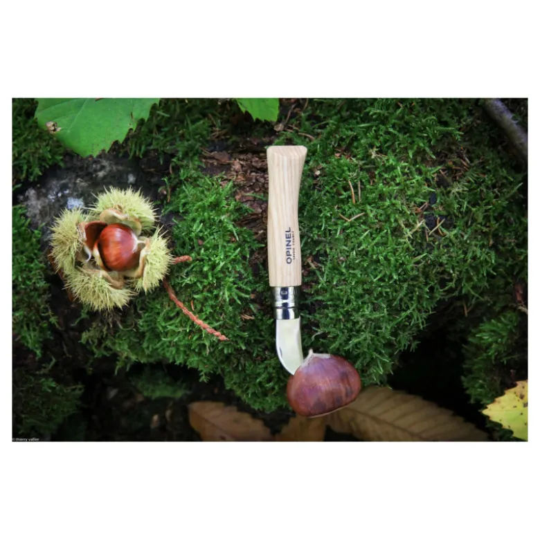 Couteau de Poche Châtaigne Ail et Dénoyautage N°7 - Opinel