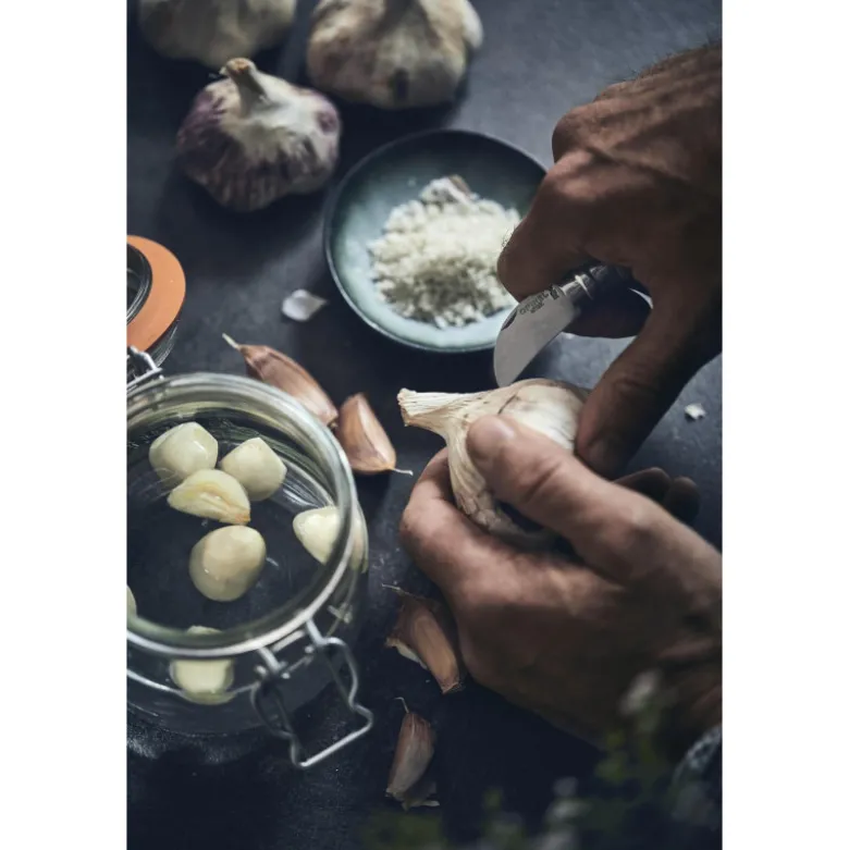 Couteau de Poche Châtaigne Ail et Dénoyautage N°7 - Opinel