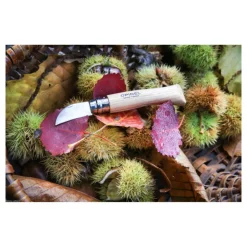 Couteau de Poche Châtaigne Ail et Dénoyautage N°7 - Opinel