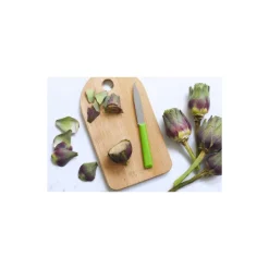 Couteau d'Office Cranté Vert Les Essentiels + N°313 - Opinel