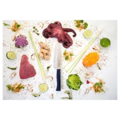 Couteau Santoku Intempora N°219 - Opinel