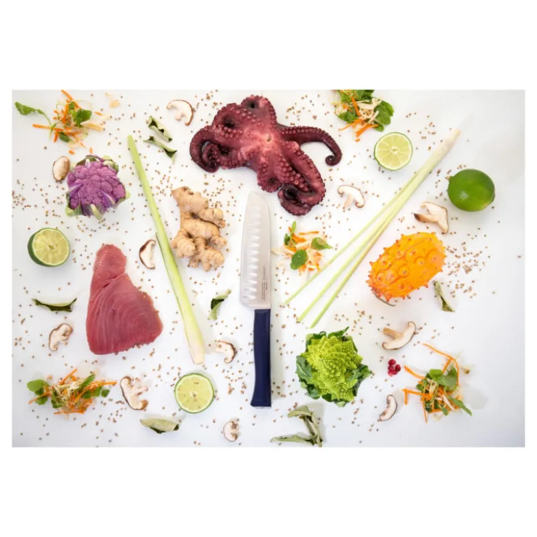 Couteau Santoku Intempora N°219 - Opinel