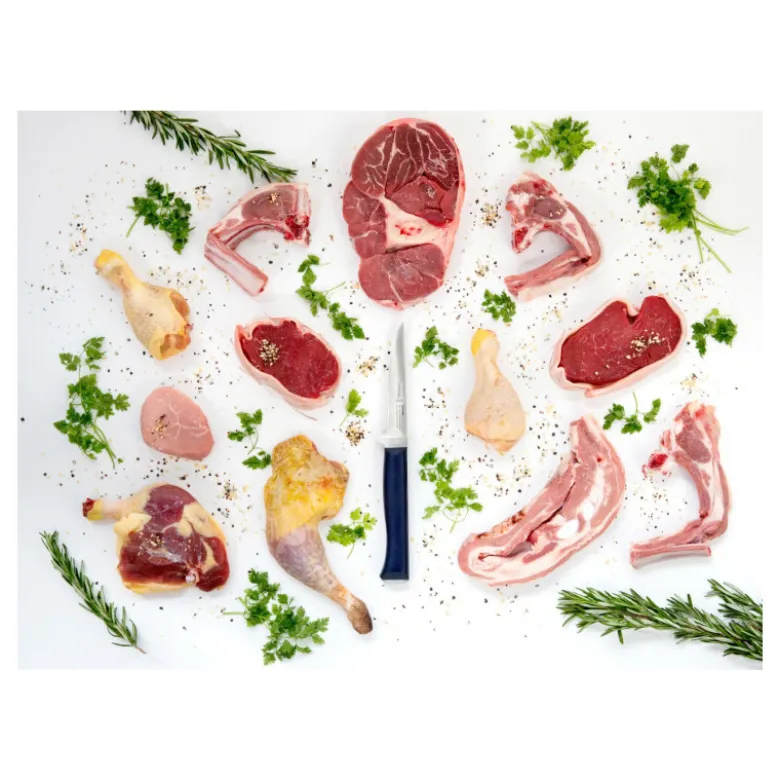 Couteau à Viande et Volaille Intempora N°222 - Opinel