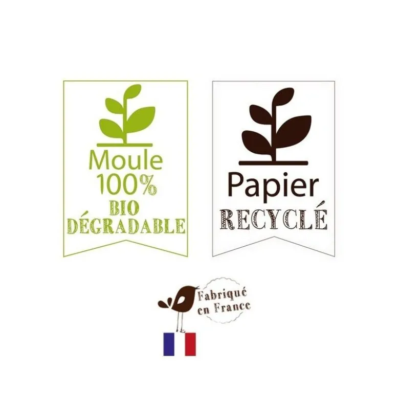 FIN DE SERIE Moule à gâteau 18cm bois x2 + caissettes cuisson - Mirontaine