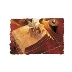 Kit 2 moules plastique carré dégradé