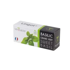 Lingot Basilic Bio potager d'intérieur - Véritable