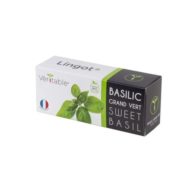 Lingot Basilic Bio potager d'intérieur - Véritable