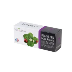 Lingot Fraise des Bois Bio potager d'intérieur - Veritable
