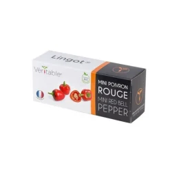 Lingot mini poivron rouge BIO potager d'intérieur - Véritable