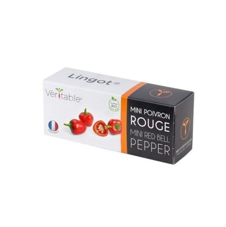 Lingot mini poivron rouge BIO potager d'intérieur - Véritable