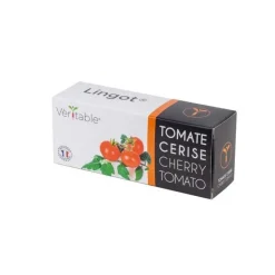 Lingot Tomate cerise Bio potager d'intérieur - Veritable