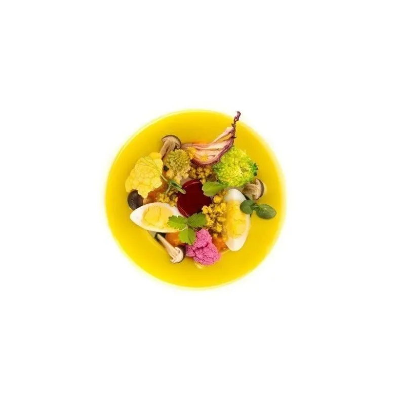 Moule cercle Cerchio 3.0 Naturae x9 - Silikomart professional