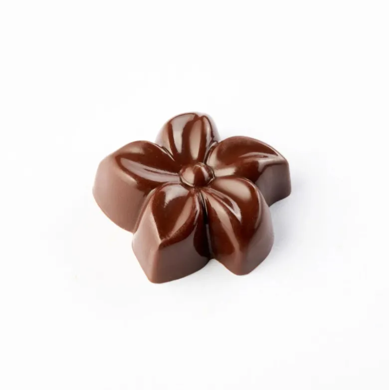 Moule Chocolat Flora 3,8 x 1,2 cm (x24) - Pavoni