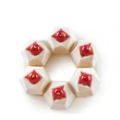 Moule Cosmos silicone x6 - Silikomart Professional