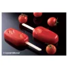 Moule glace Classic x12 - Silikomart professional