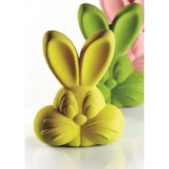Moule Lapin Roger x2 - Pavoni