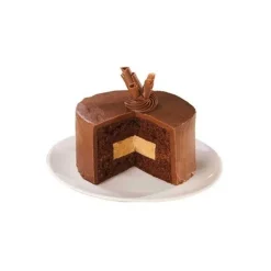 Moule mini gâteau insert x4 - Wilton