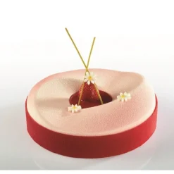 Moule silicone Dune Pavocake - Pavoni