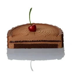 Moule Silicone Forêt Ø 18,5 cm x H 4,5 cm - Pavoni