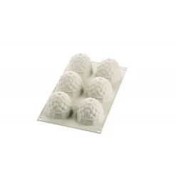 Moule silicone fruits des bois x6 - Silikomart