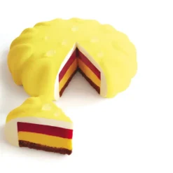 Moule Silicone Insert Rond Ø 16 cm x H 3 cm (x6) - Pavoni
