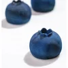 Moule Silicone Myrtille Ø 6,7 x H 5,3 cm (x15) Pavoflex