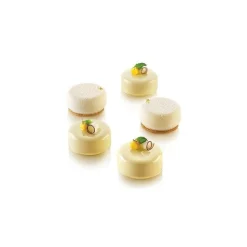 Moule silicone rond Essenziale x15 - Silikomart Professional
