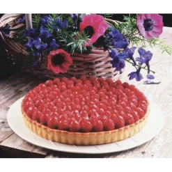 Moule à tarte en acier perforé 24 cm - Gobel