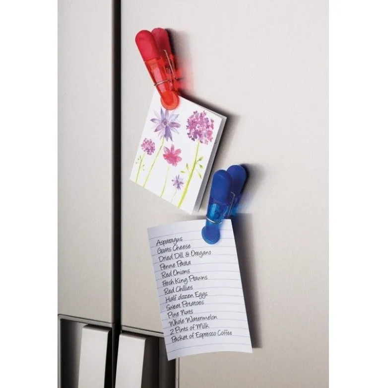Pince fermeture magnétique x7 - Kitchen Craft