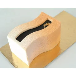 Plaque silicone 25 rectangles vague Pavoflex