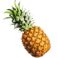 Purée de Fruits Ananas 1kg - Capfruit