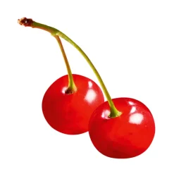 Purée de Fruits Cerise Griotte 1kg - Capfruit