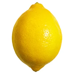 Purée de Fruits Citron Jaune 1kg - Capfruit