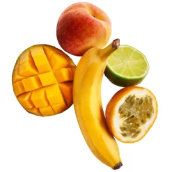 Purée de Fruits Exotiques 1kg - Capfruit